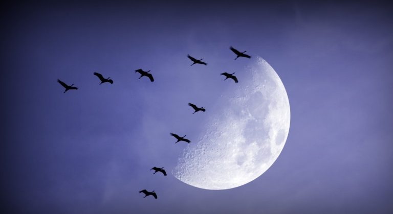 Частично лунно затъмнение ще наблюдаваме тази вечер