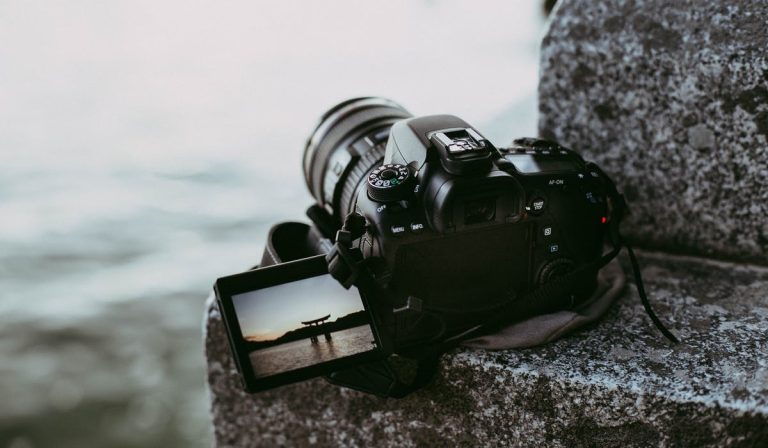 19 август е денят, в който фотографите празнуват