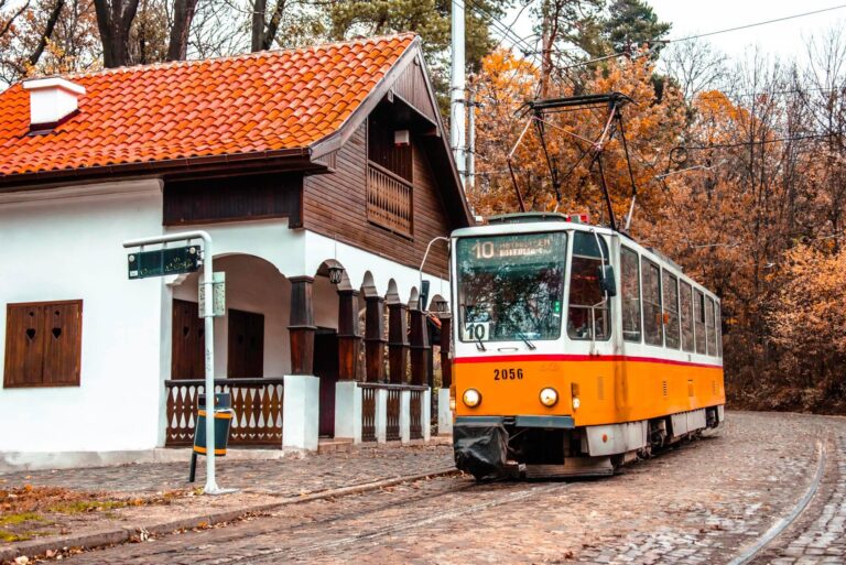Спирка “Вишнева” в София става пространство за култура